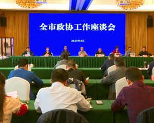 全市政协工作座谈会召开