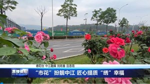 “市花”扮靓中江 匠心提质“绣”幸福
