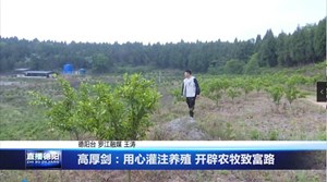 高厚剑：用心灌注养殖 开辟农牧致富路