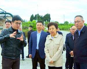 祝春秀率队到德阳开展调研
