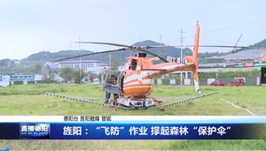 旌阳：“飞防”作业 撑起森林“保护伞”