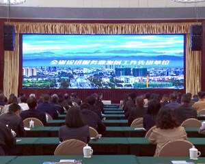 “悦享绵竹”人才主题活动暨民宿优享政策发布仪式举行