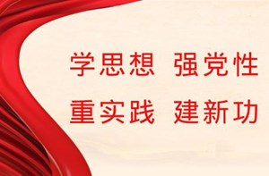 学思想、强党性、重实践、建新功丨以新气象新作为推动高质量发展取得新成效——各地认真推动学习贯彻习近平新时代中国特色社会主义思想主题教育走深走实