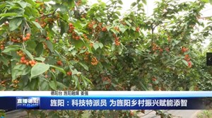 暖旌阳：科技特派员 为旌阳乡村振兴赋能添智