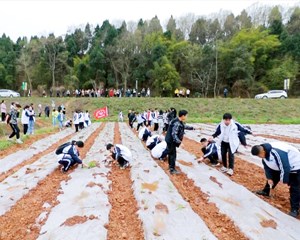 旌阳：“研学游”火爆 学生回归自然感受美好