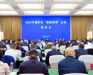 2023年德阳市“蓝鲸倍增”企业座谈会召开