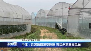 中江：近郊采摘游受热捧 市民乐享田园风光
