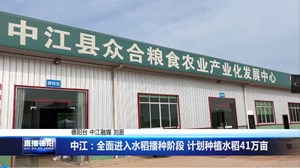 中江：全面进入水稻播种阶段 计划种植水稻41万亩