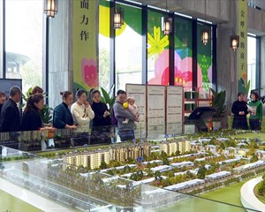 绵竹：利好政策稳复苏 一季度楼市量升价稳
