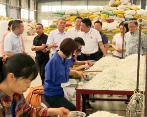 何明俊率队开展“全国助残日”慰问活动