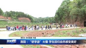 旌阳：“研学游”火爆 学生回归自然感受美好