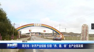 周天祎：补齐产业短板 引领“养、屠、销”全产业链发展