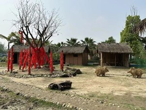 又双叒被关注啦！央广中国之声再次聚焦德阳