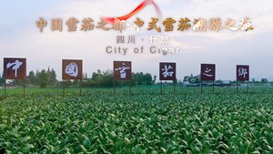 中式雪茄溯源之旅在什邡盛大开启