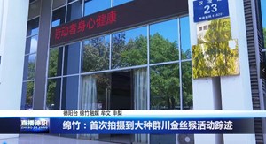 绵竹：首次拍摄到大种群川金丝猴活动踪迹