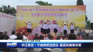 中江联合：千亩枇杷压枝头 喜迎采摘果农笑