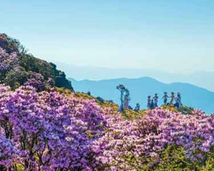 错峰自驾！五月这些美景别错过→