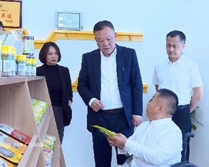 卢也带队开展“全国助残日”慰问活动