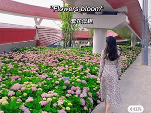 火了！德阳这座桥成“网红”了！好多人路过都要“刹一脚”……