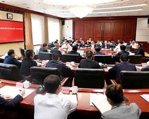 履行审计监督职责 发挥审计利剑作用 以高质量审计保障高质量发展