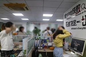 四川公安发布打击经济犯罪十大典型案例