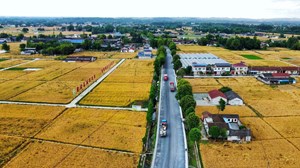 激动人心！绵竹这条道路即将完工