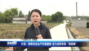 什邡：探索农业生产托管服务 全力当好农民“田保姆”
