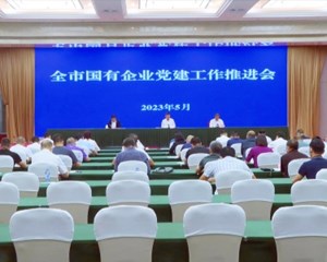 全市国有企业党建工作推进会召开