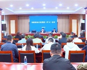 市政府办公室党组（扩大）会议召开