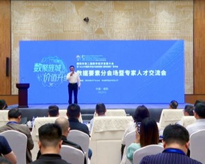 聚焦我市第二届数字经济发展大会分会场 共谋数实融合前行之路