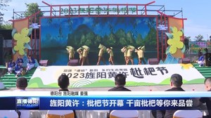 旌阳黄许：枇杷节开幕 千亩枇杷等你来品尝