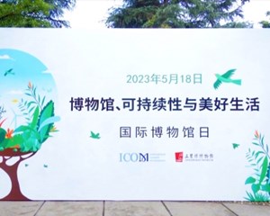 国际博物馆日 感受历史文化魅力
