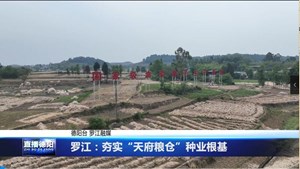 罗江：夯实“天府粮仓”种业根基