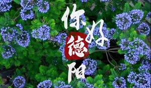 你好德阳广电