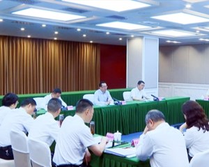 推进青年发展型城市建设 开创全市青年工作新局面