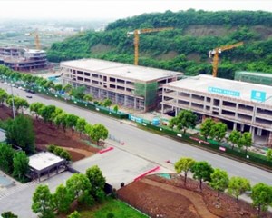 按下项目建设“快进键” 跑出经济发展“加速度”