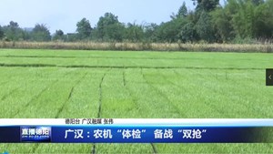 广汉：农机“体检” 备战“双抢”