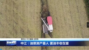 中江：油菜测产喜人 夏油丰收在望