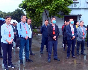 市人大常委会开展《中华人民共和国种子法》执法检查