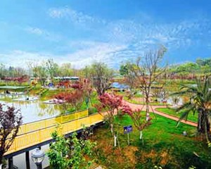《四川省旅游条例》修订：不得私设“景点”