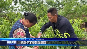 何开富：回乡创业新农人 带领百姓共致富