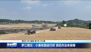 罗江调元：小麦收割进行时 良机作业来保障