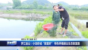 罗江金山：小龙虾成“致富虾” 特色养殖趟出生态致富路