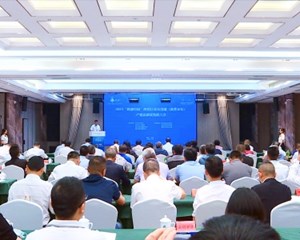 什邡：聚焦黄背木耳产业发展 擦亮“木耳之乡”金字招牌