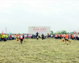 广汉：农民运动会举办 趣味十足庆丰收