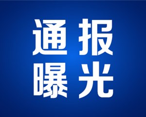 四川省纪委监委公开通报9起国资国企系统违纪违法典型案例