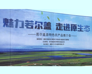 这两天，德阳文庙很热闹！只为这件事......