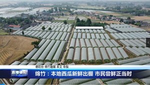 绵竹：本地西瓜新鲜出棚 市民尝鲜正当时