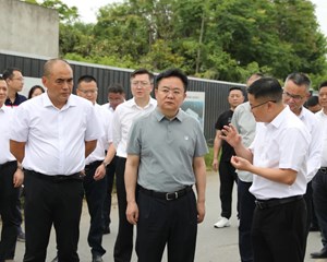 坚持最严格耕地保护制度 大力推动耕地保护常态长效