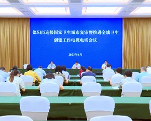 我市召开迎接国家卫生城市复审暨全域卫生创建推进会